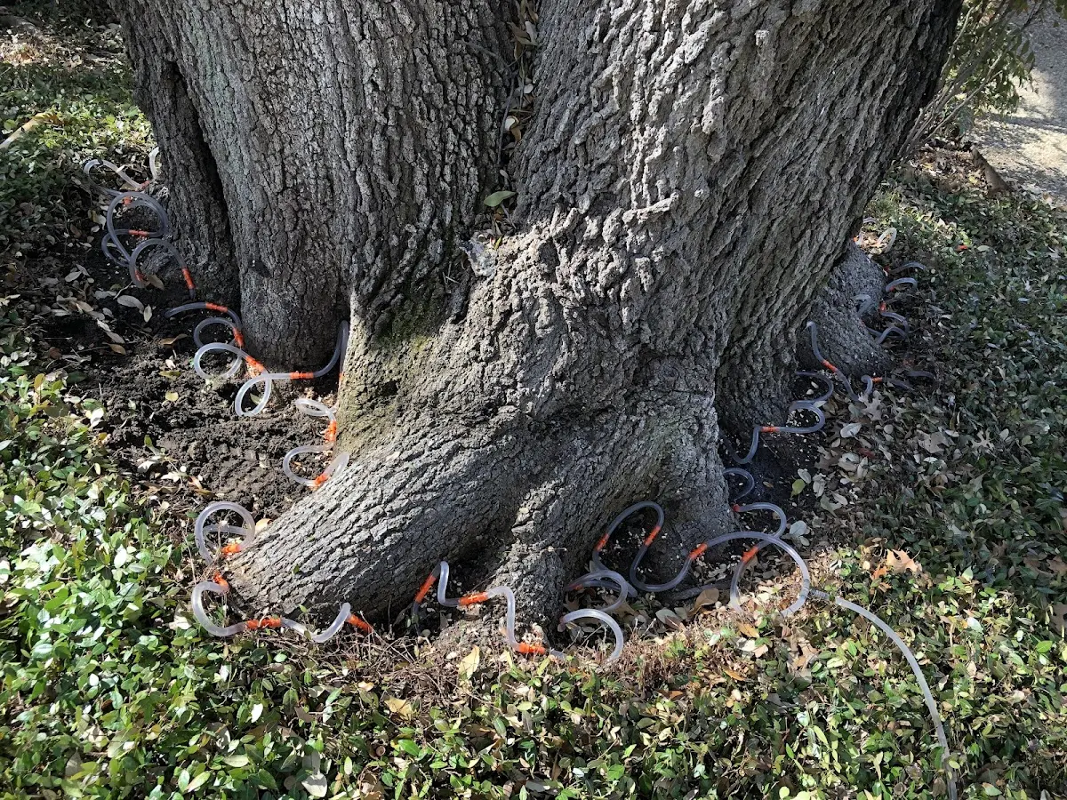 Detailed Shrub and Hedge Trimming job site in Barbeau